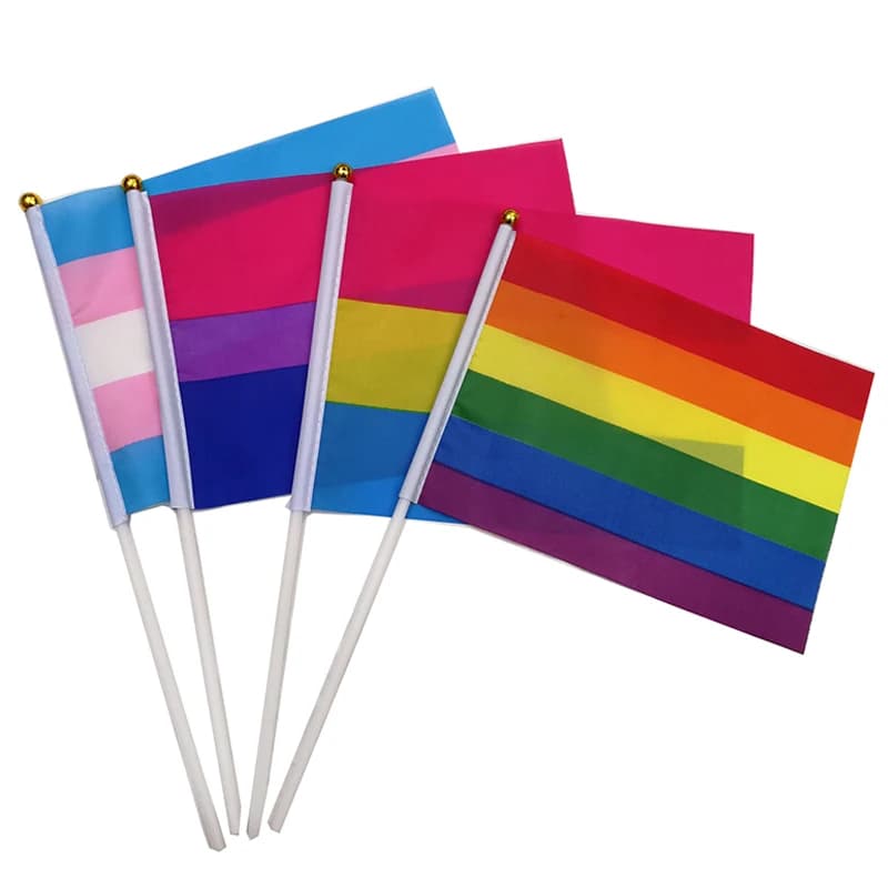100pcs/lot Aerlxemrbrae Custom Hand Flag 14 X 21 Cm Geminbowl Rainbow Flag Hand Waving Gay Pride LGBT Transgender Hand Flag