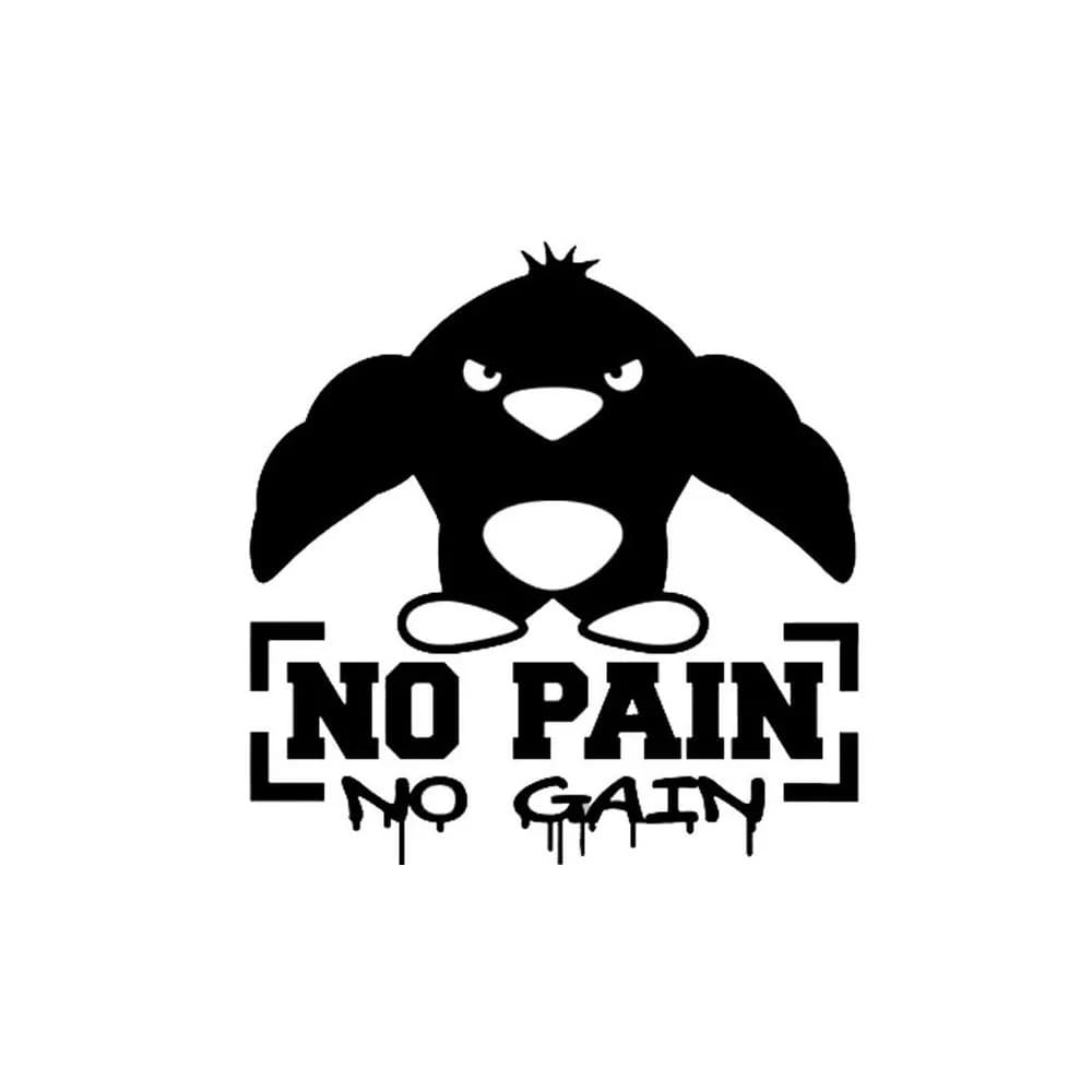 Gym Vinyl Wall DecalNo Pain No Gain Fitness Sports Muscled Bodybuilding Mural Wall Sticker Fitness Centre Room Home Decoration