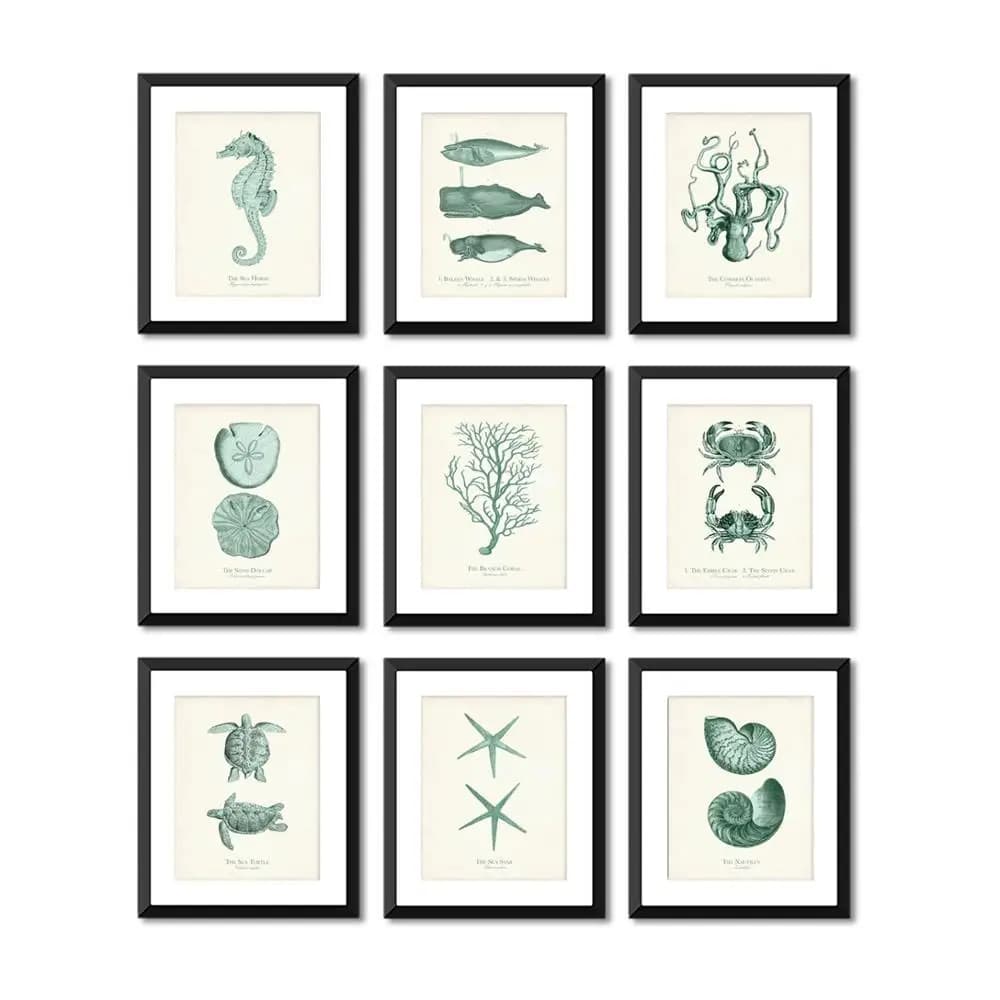 Octopus Starfish Conch Whale Turtle Crab Wall Art Canvas Painting Nordic Posters And Prints Wall Pictures For Living Room Decor