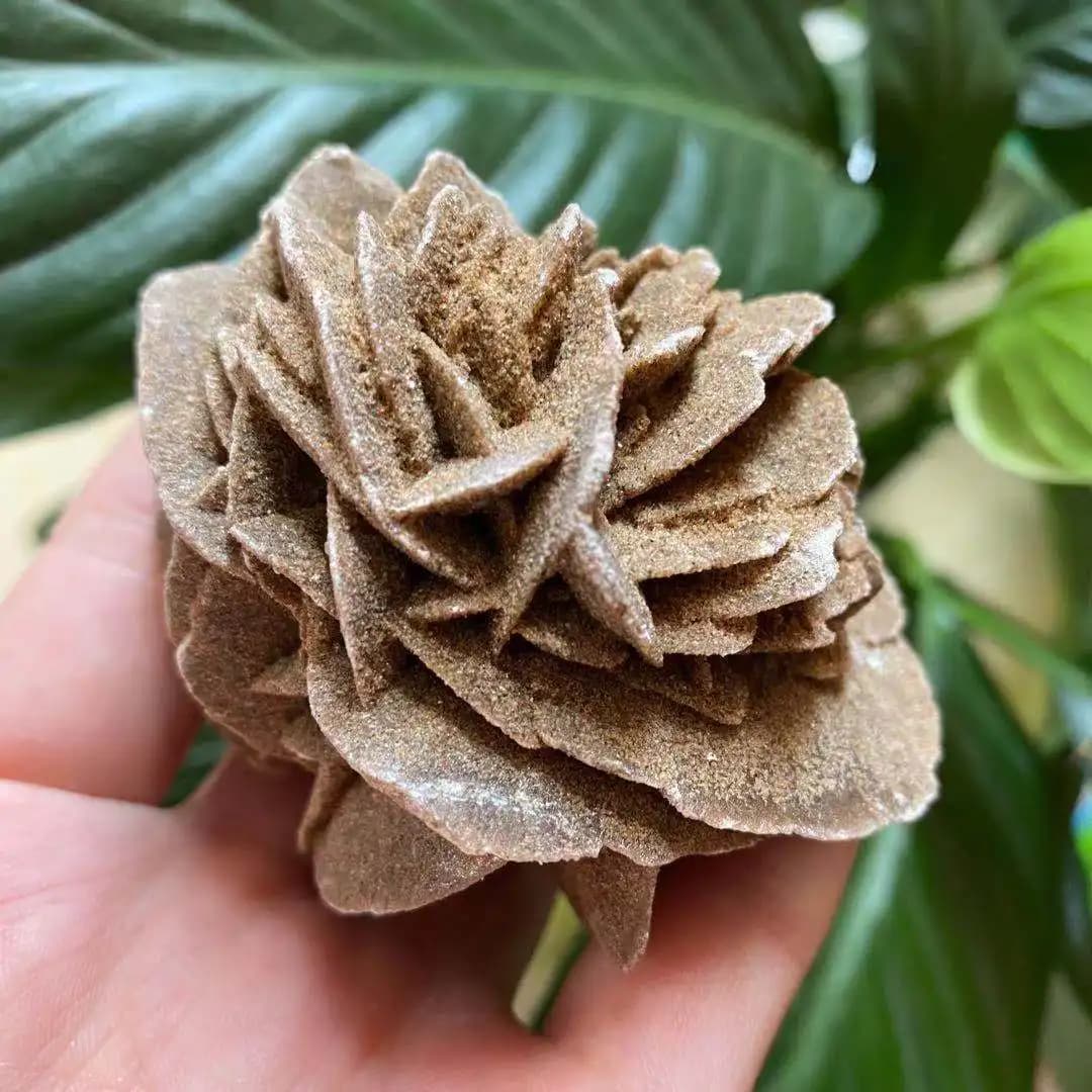 Natural Desert Rose Mineral Specimen, Raw Stone, Crystal Energy, Home and Office Gift