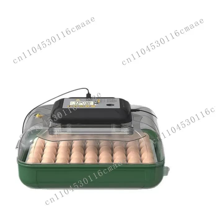 Fully automatic household parrot pigeon chicken incubator egg