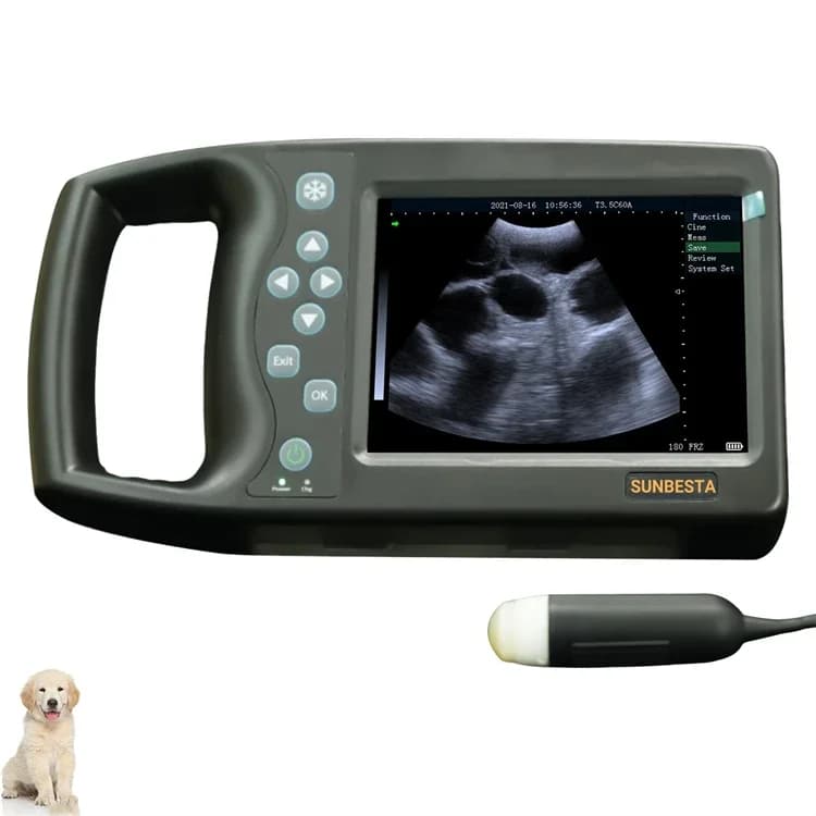 M6 5.7Inches Portable Animal Ultrasound Machine With Mechanical Probe Pregnancy Ultrasound Scanner