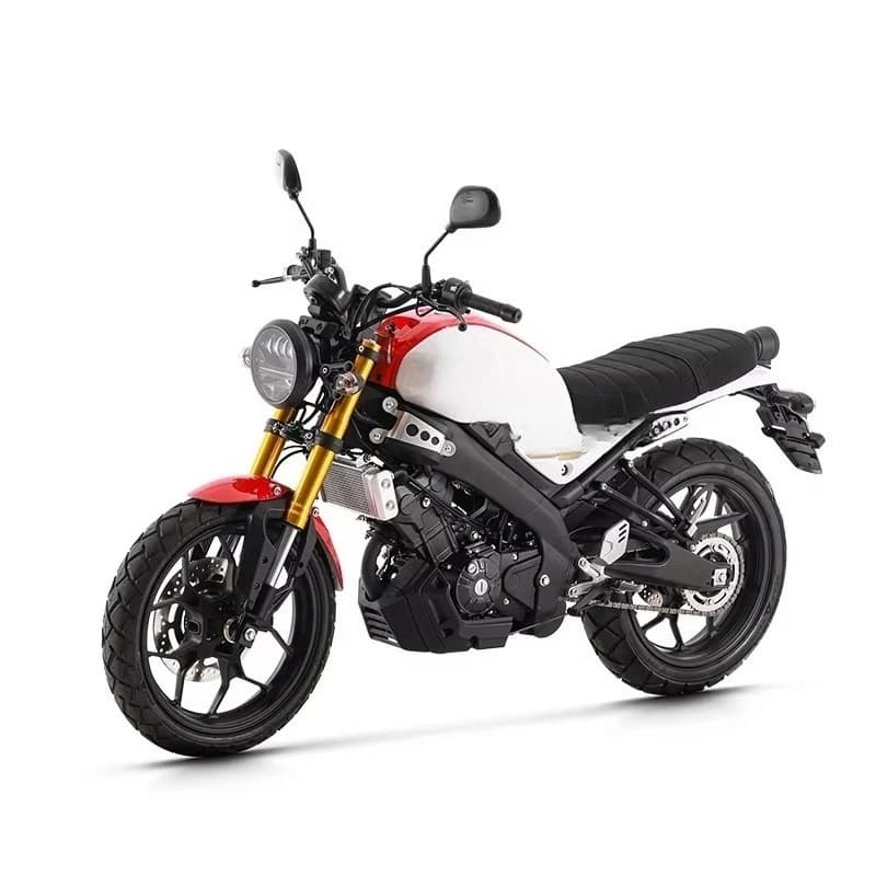 High Performance Motorcycle Sports Car with Disc Brakes Ultra High Speed 100 km/h Adult Motorcycle