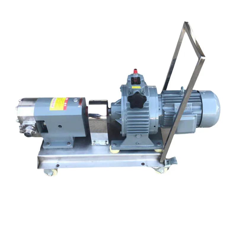 Sanitary Food Grade High Viscosity Liquid Transfer Pump Cream Chocolate Sauce Syrup Honey Stainless Steel Convey Rotor Lobe Pump