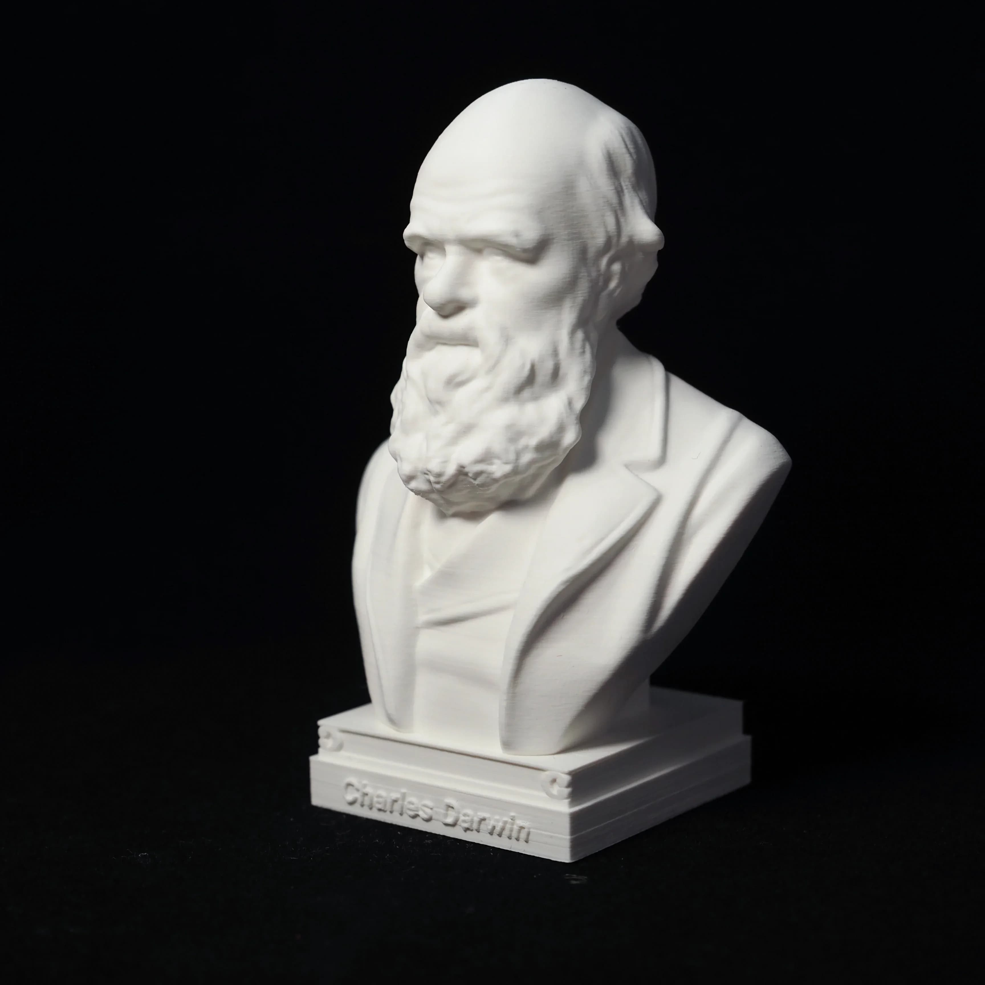 Darwin Imitation Plaster Sculpture Tabletop Ornaments European Scientist Crafts Great Man Portrait, Plastic Model