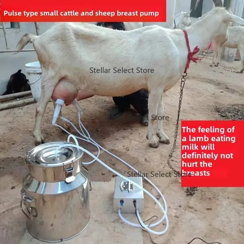 Goat Milk Pump Vacuum Pulse Goat Milking Machine Small Household Cow