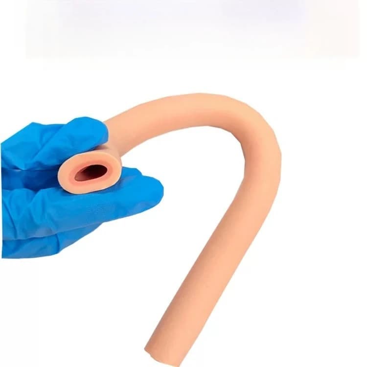 Human Intestinal Anastomosis Model, Laparoscopic Suture Training Simulator