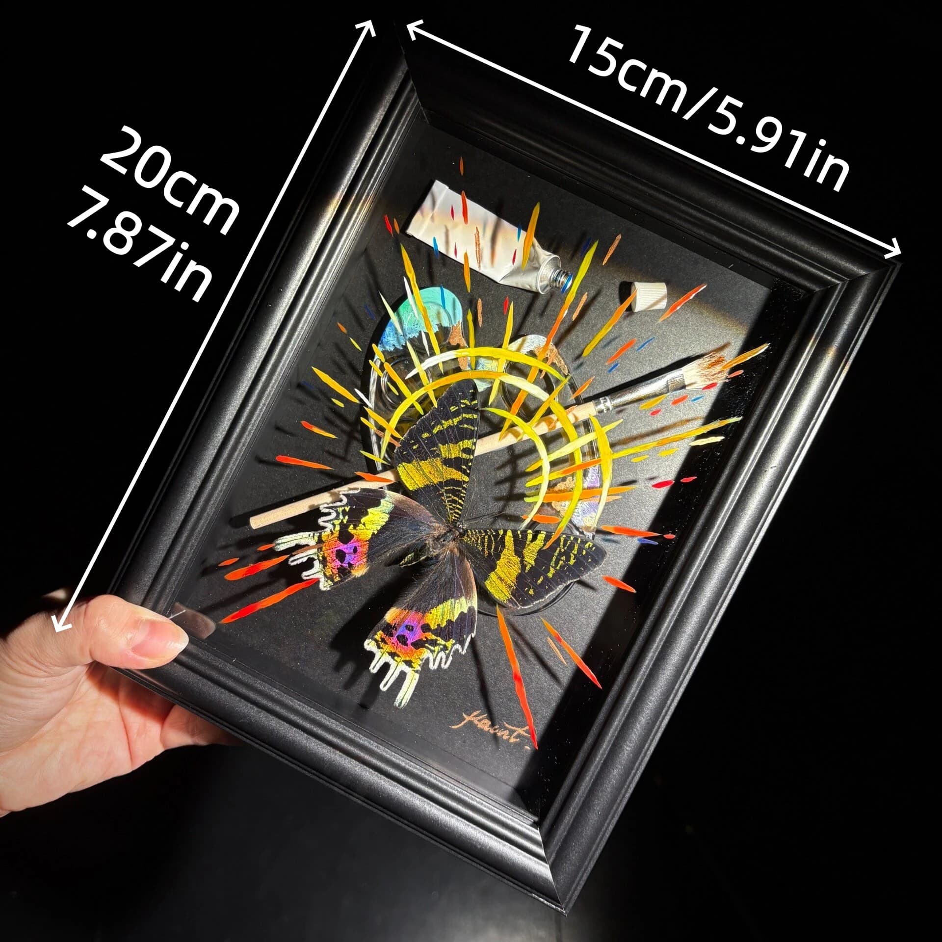2156 Unique Handmade Sunset Moth Specimen Style Artwork Framed Hand Painted Craft Decor Gift for Art Enthusiasts Home Office