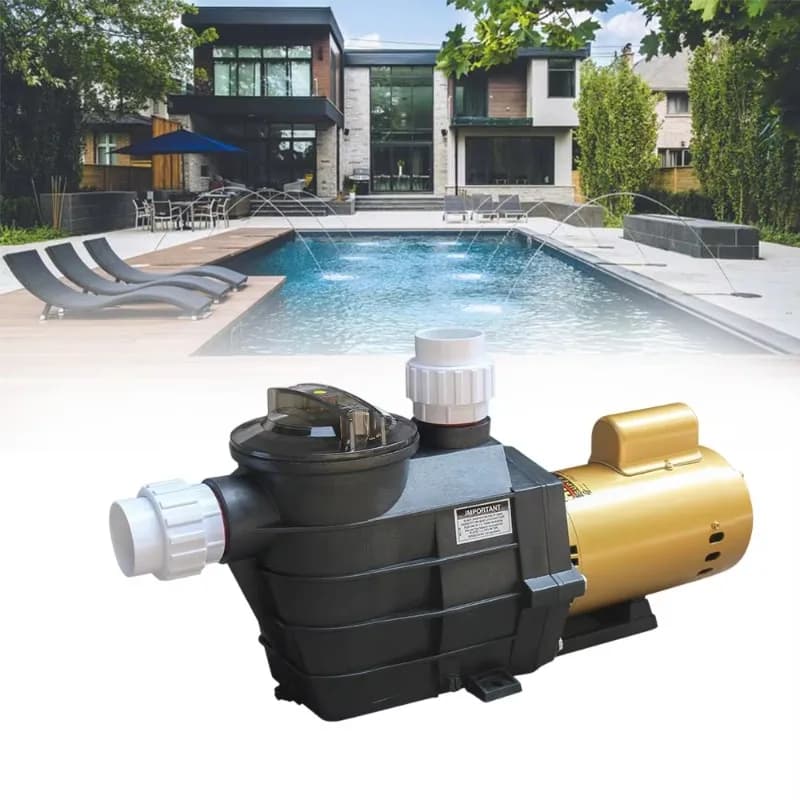 High-Efficiency SP Series Electric Swimming Pool Pump - Single/Three Phase Motors | Factory Supply