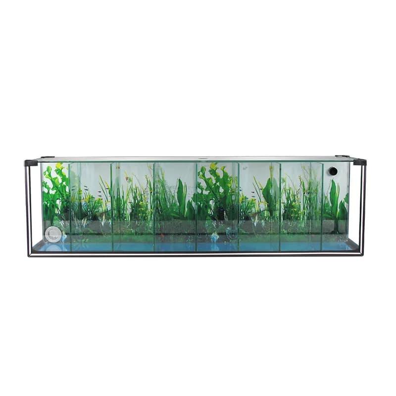 Creative glass betta tank desktop small multi-grid isolation area self-circulation filtration water-free fish tank ecological
