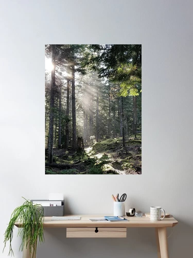 Sunbeams Sunrays Light through Trees Forest Nature Photo, Art Print Canvas Poster, Living Room Decor, Home Wall Picture