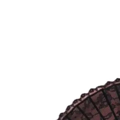 Ladies Floral Lace Folding Fan for Wedding Decor For Home Decoration Event Accessory Dance Costume Compact 23cm Portable Style