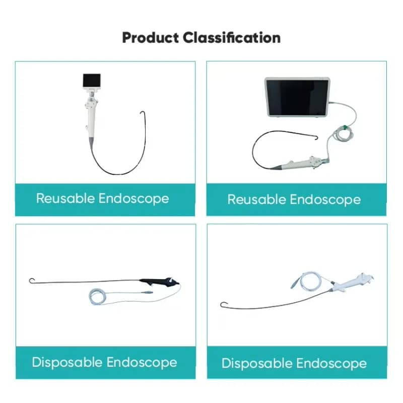 120 Degrees Wide‑Field Disposable Electronic Veterinary Ureteroscope Instrument for Small Animal Ureteral Lesion Diagnosis