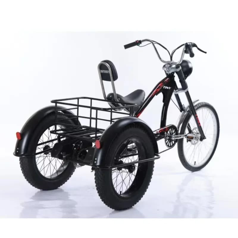 Best-selling Quality Assurance 48v 1000w 3 Wheel Electric Two Seat Adult Mini Tricycle