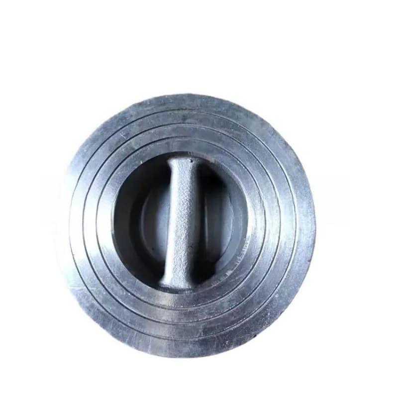 304/316 Sanitary Grade Stainless Steel Wafer Check Valve H76W Check Valve, Check Valve