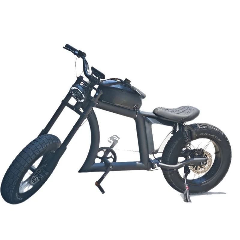 20 inch fat tire electric bicycle adult bicycle