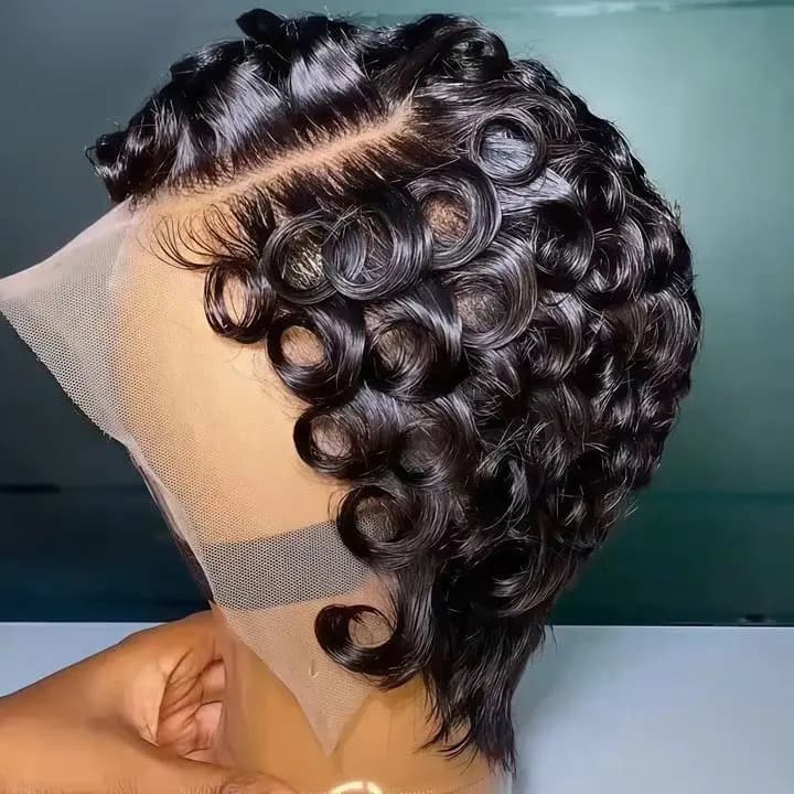 100% Virgin Human Hair 13x4 Full Lace Transparent Frontal Wig Curly Wave Black Color for Women