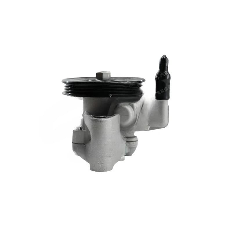 Automotive power steering pump