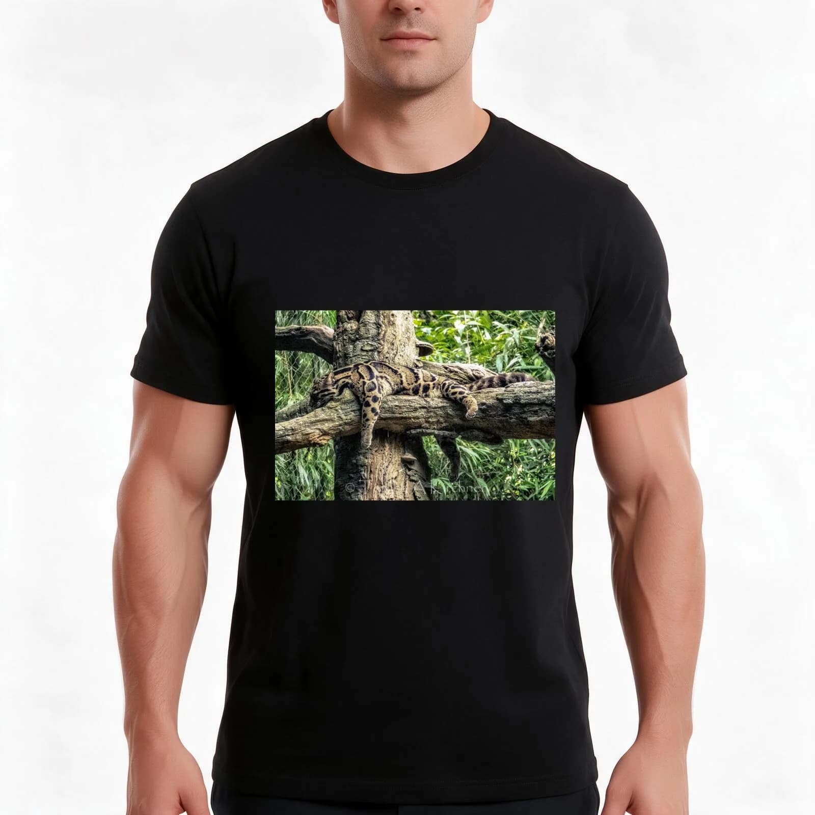 Clouded Leopard T-Shirt, Summer Casual Cotton Tee, Oversized Streetwear Tops, Vintage Graphic Print, Loose Fit Short Sleeve