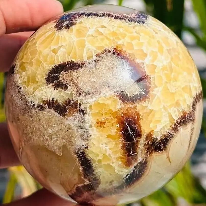 High Quality Natural Septarium Palm Polished Crystal Sphere Exquisite Ornaments Desktop Home Decoration