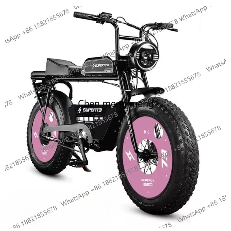 73Y1S20 inch new national standard retro electric bicycle adult walking electric donkey battery car