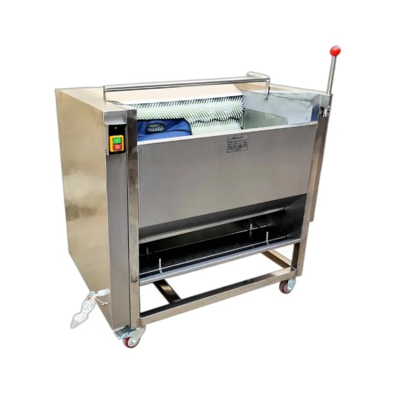 Automatic fruit and vegetable brush cleaning machine, lemon fruit washing machine, potato peeling machine, Hainan coconut