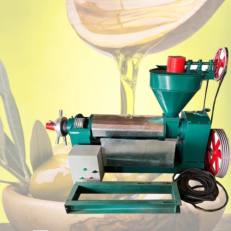 60kg 80kg CE Promotion Factory Price Virgin Coconut Oil Expeller Press Machine Small Oil Extractor Palm Oil Press