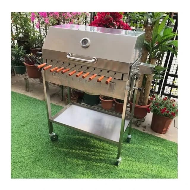 Hooded Garden Outdoor Charcoal Grill Cyprus Grill Grill