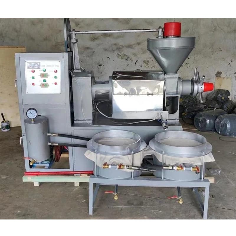 2024 Cooking 100kg/hour Cold And Hot Pressing Extractor Peanut Oil Press Machine Large Edible Oil In A Multifunctional Oil Press