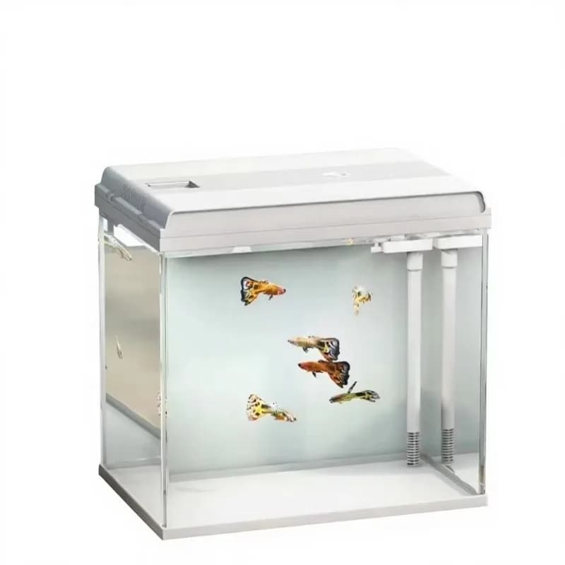 Glass Rectangle Desktop Aquarium Natural Light Full-Tank Circulation Low Noise Multi-Stage Filtration Energy