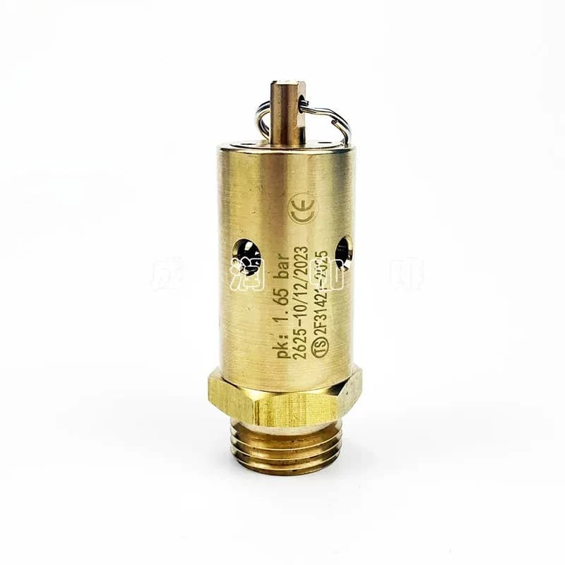 For Italy BEZZERAs for Arcadias/for VICTORIAs/B2016 Coffee Machine High and Low Integrated Valve