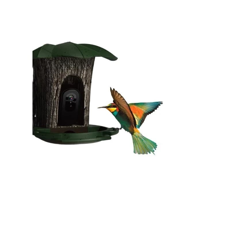 Solar cell AI intelligent bird feeder with AI recognition 1296p high definition real-time video automatic bird recognition