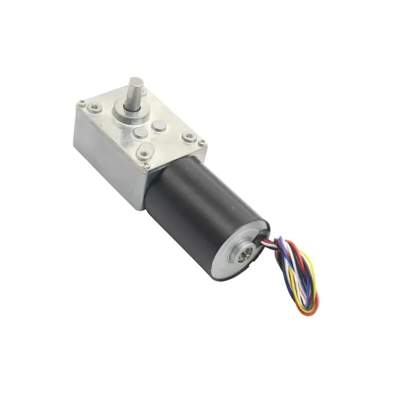 5840 3650 BLDC Worm Gear Motor 12V 24V DC Low Power High Torque 70kgcm Speed Reducer with Brush Commutation for Automation DC