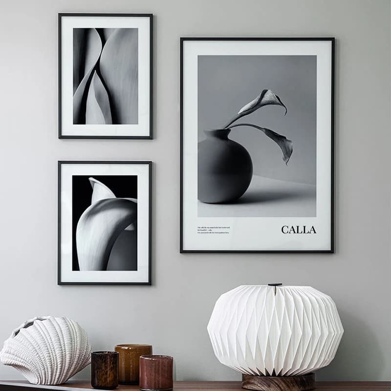 Calla Plant Flower Still Life Black White Decorative Prints Posters Wall Painting Art Canvas Pictures Nordic Modern Living Room