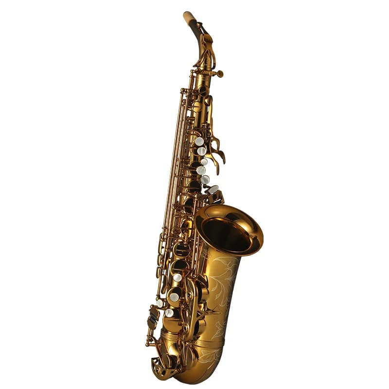 Saxophone, E flat, professional performance for beginners, grade test performance