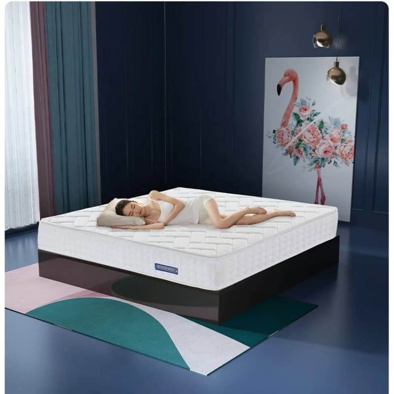 LMM skin-friendly latex household cushion independent spring whole mesh removable hard moderate mattress