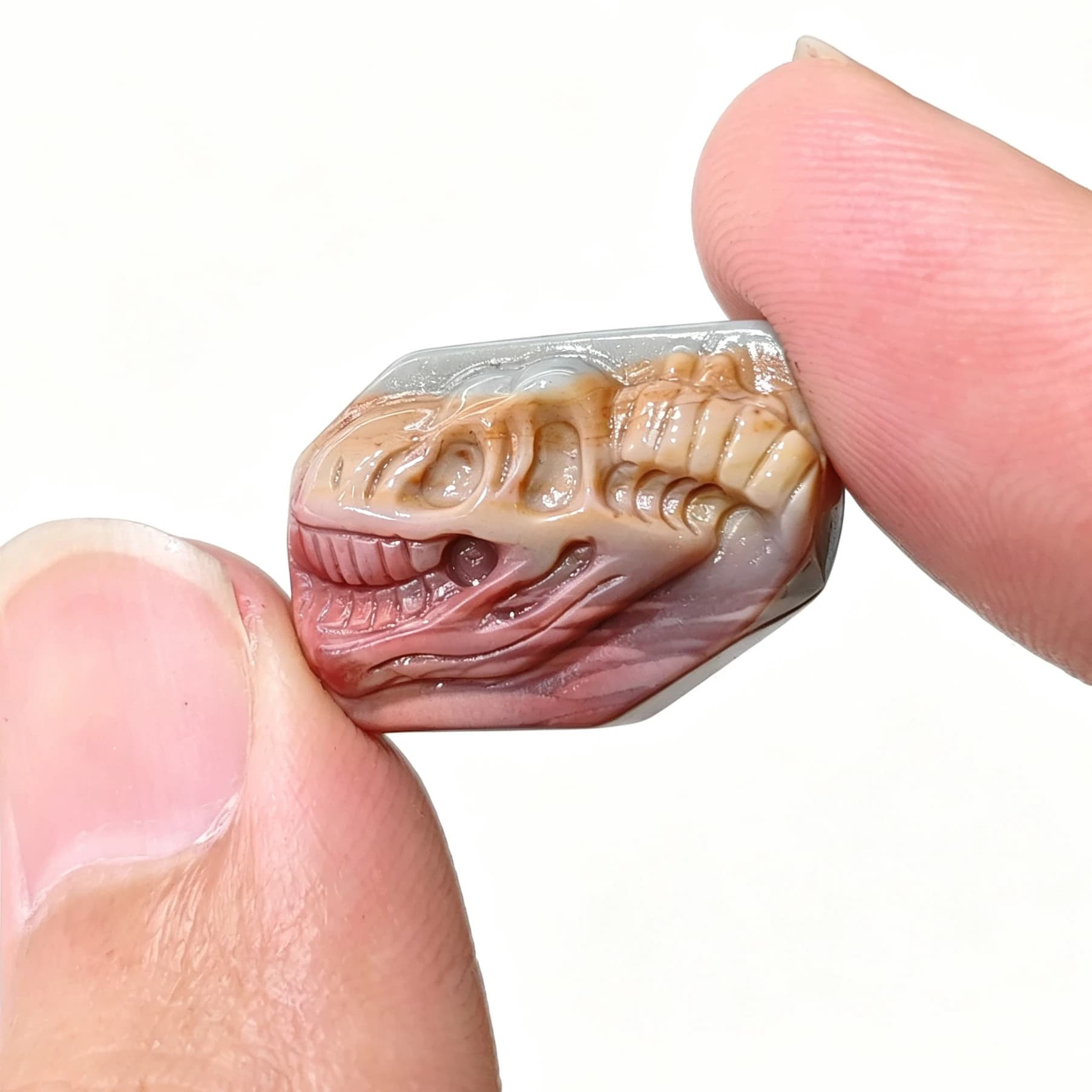 Natural Alashan Gobi Agate T-Rex Dinosaur Skull Fossil Relief Carving Stone 2cm Multicolor Gemstone Craft Pocket Stone 1 Pc