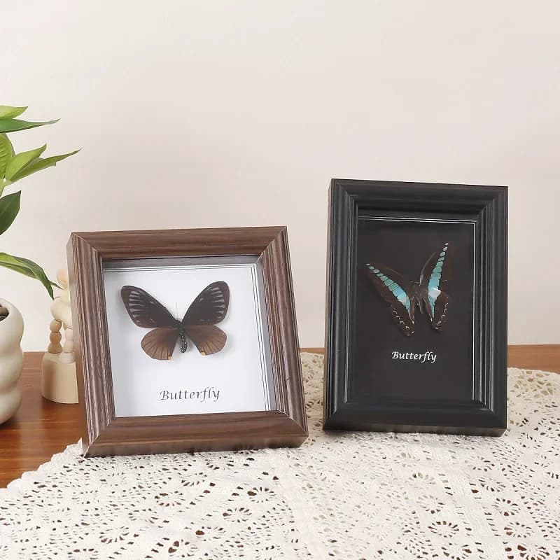 2cm Hollow Black Wooden Display Frame for Insect Specimen Glass Butterfly Mounting Picture Frame Home Décor