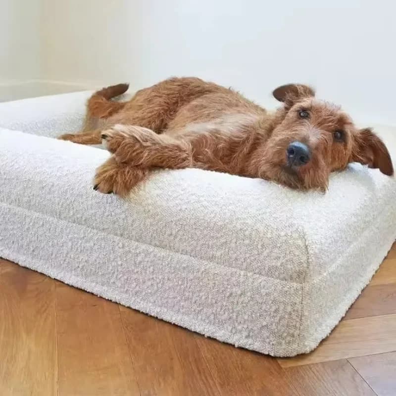 Washable Deluxe Waterproof Removable Large Memory Foam with Zipper Orthopedic Dog Bed