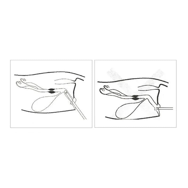 NEW Dog Ovulation Detector Tester - Automatic Pregnancy Planning Breeder Canine Mating Tool Waterproof with Portable Case
