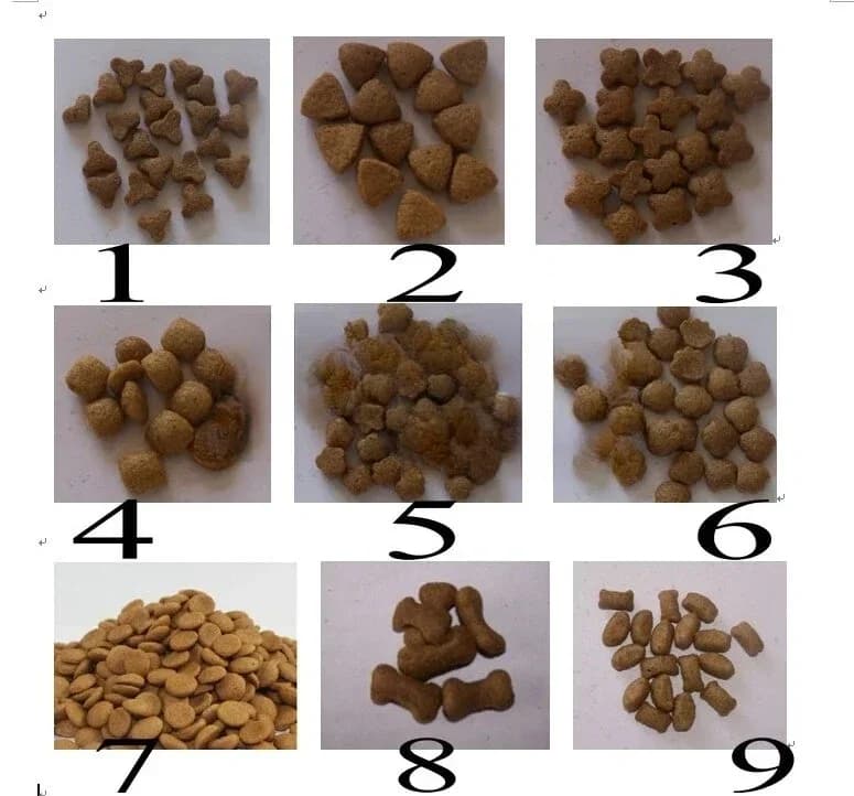 Floating Fish Feed Pellet Extruder Mill Feed Granule Making Machine For Fish Small Electric Floating Fish Feed Extruder Machine