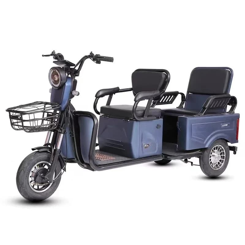 elderly travel three or four wheeled car electric car adult pull cargo passenger dual-purpose car with shed leisure battery