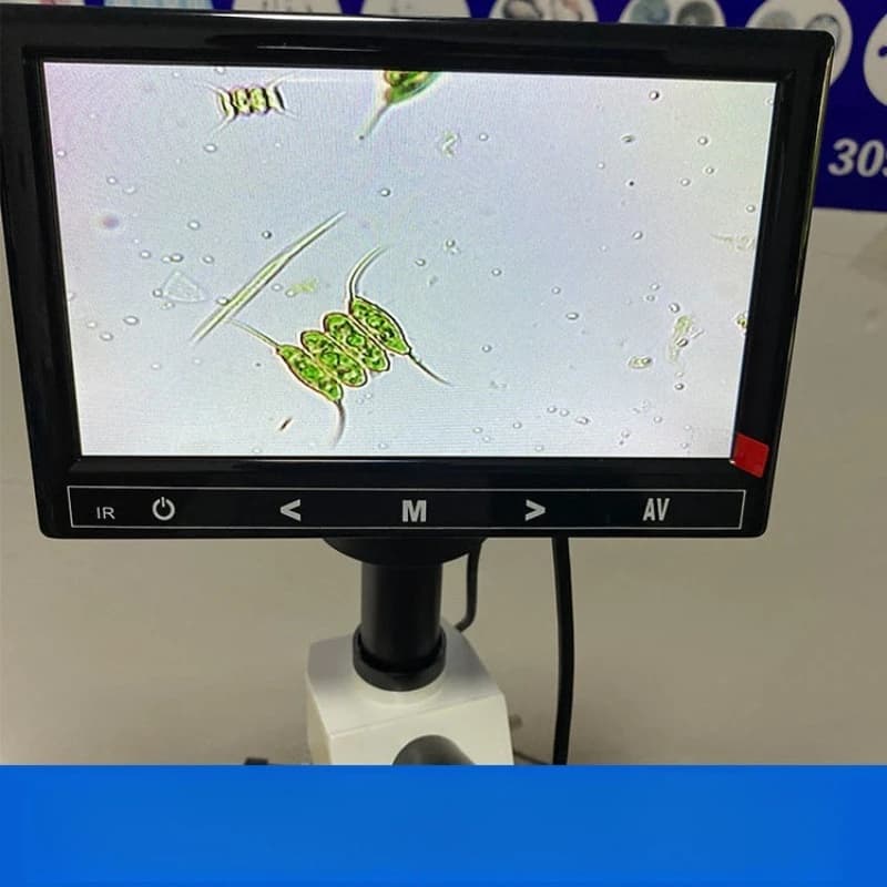 Microscope with display screen, tools for testing microorganisms