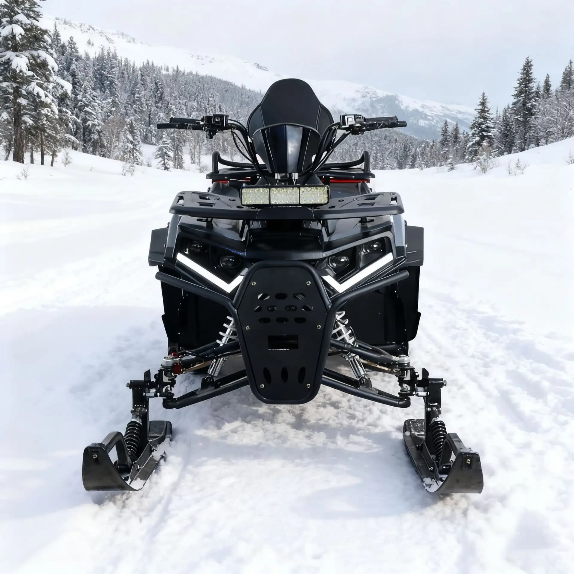 Sleigh Ski Snowmobile Beach Track Skate