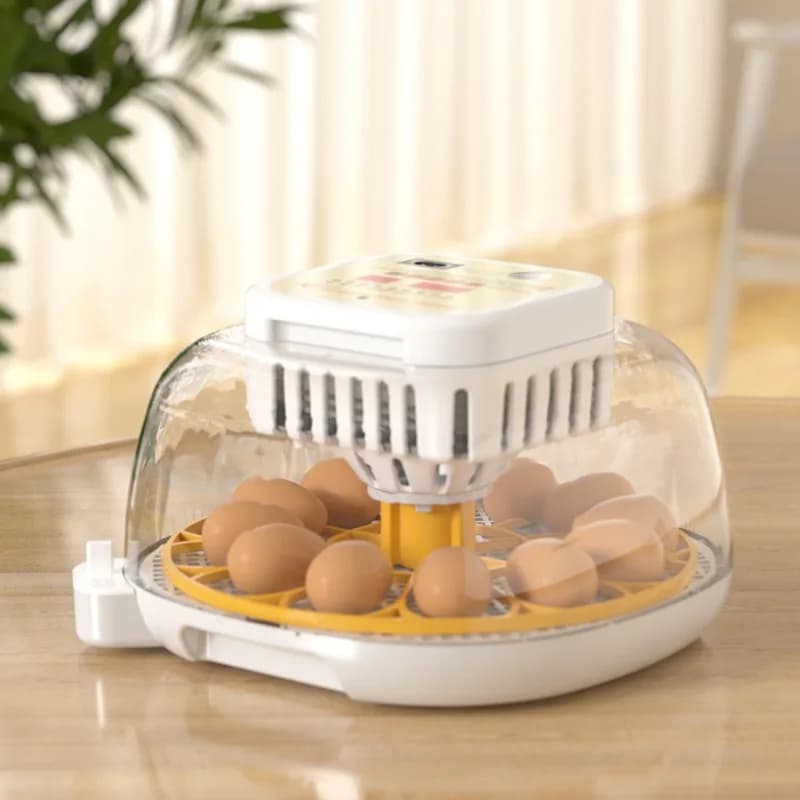Chicken Egg Incubator Intelligent Incubator Home Automatic Small Chicken, Duck, Goose and Quail Incubator