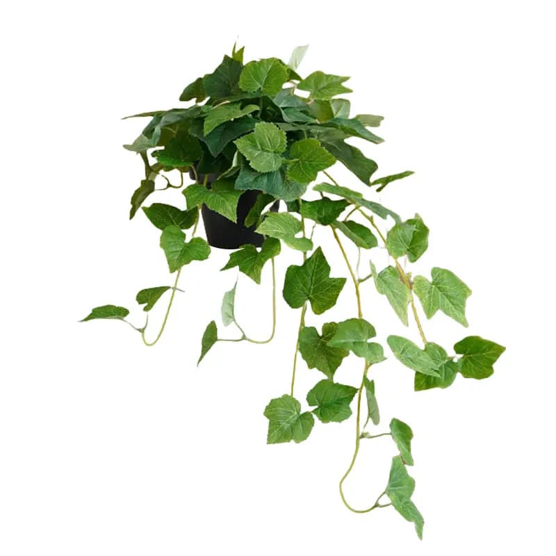 Garden Decoration Length Is About 70cm Potted Decoration Home Decoration 70cm Length Easy Setup Living Room Accent