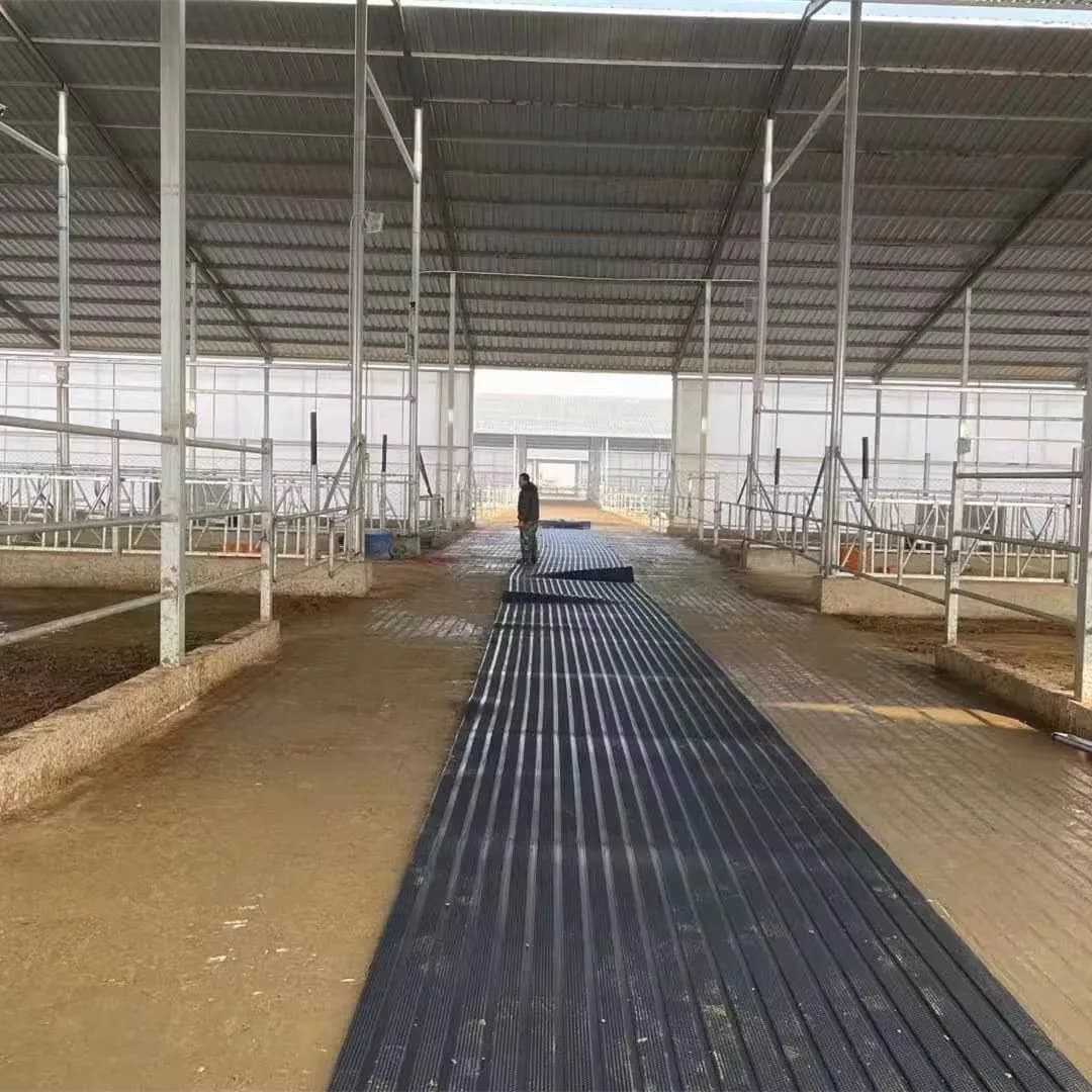 Farm-Grade 25mm NBR Rubber Stable Mat for Horse Competition Stalls Comfortable Standing Easy Drainage Custom Cutting Competition