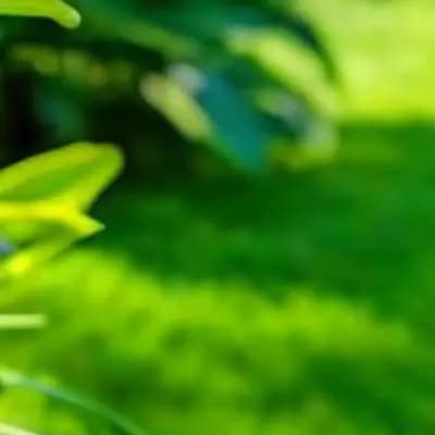 Effortlessly Control Your Lawnmower with Throttle Control Handle Switch Enhanced Performance Easy Installation
