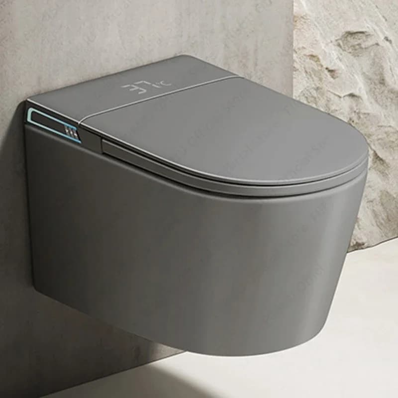 Blak/Gray/White Ultimate Wall-Hung Toilet with Bidet Built In WrTank One Piece Elongated Toilet  Warm Water Heateeat