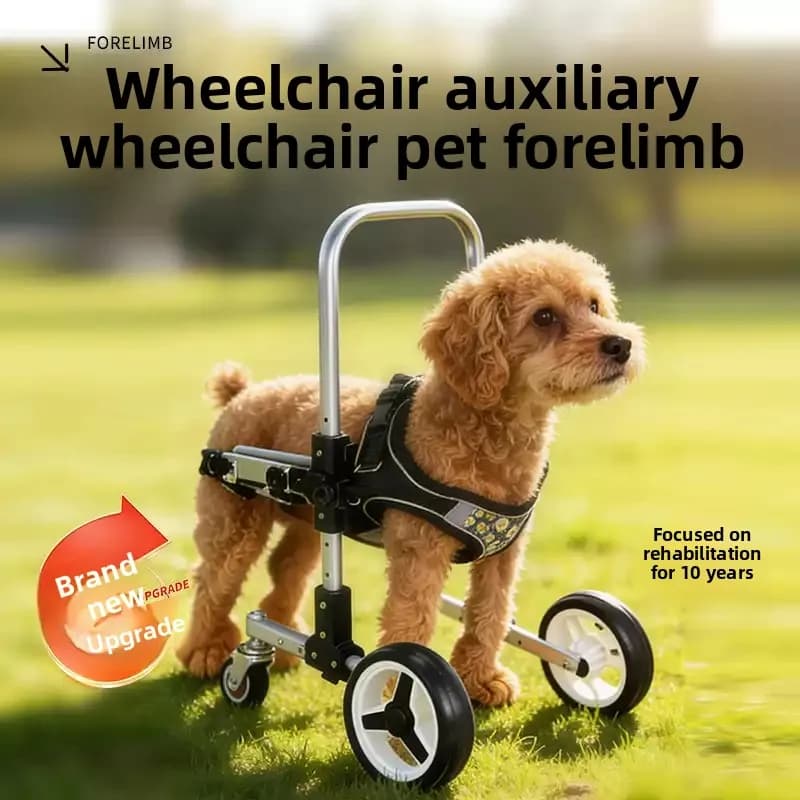 Pet Dog Forelimb Wheelchair Disabled Front Leg Walking Aid Support Bracket Mobility Cart For Injured & Senior Recovery Accessory
